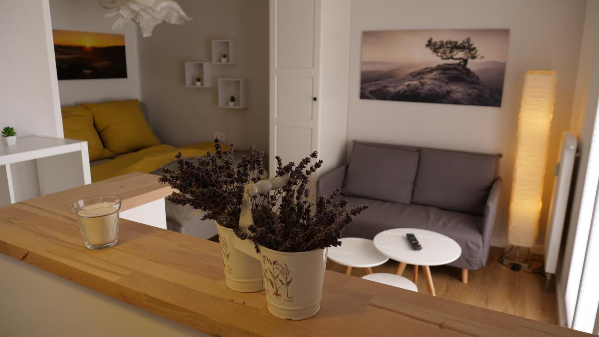 Apartment Gottleubapark Ii Pirna